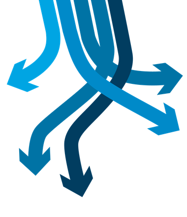 Webflow Online Authorisation Solution