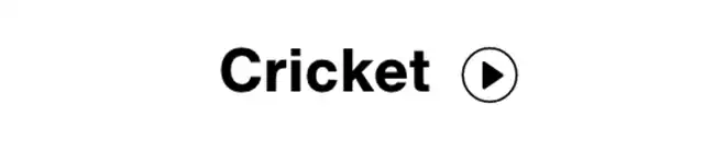 8-cricket-min.png