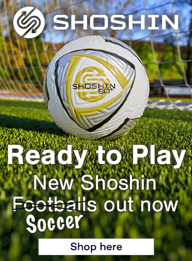 Shoshin banner 1 - mobile.gif
