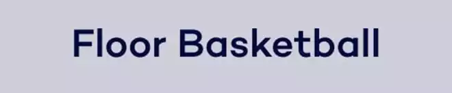 2-floor-basketball-min.png
