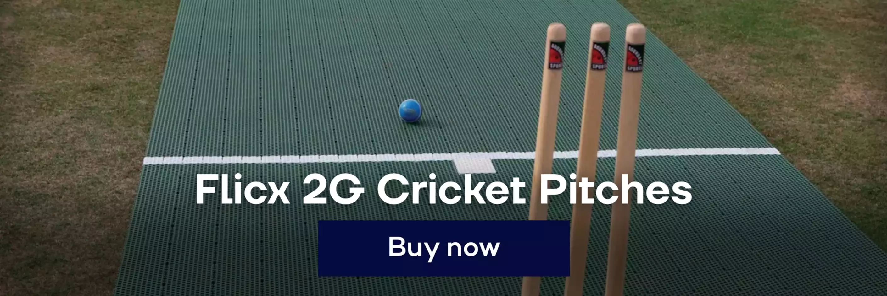 6-cricket-pitches.png