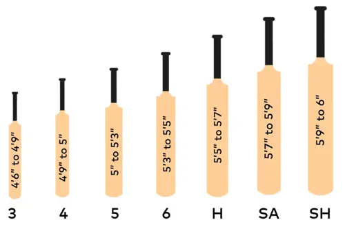 how to choose the right cricket bat