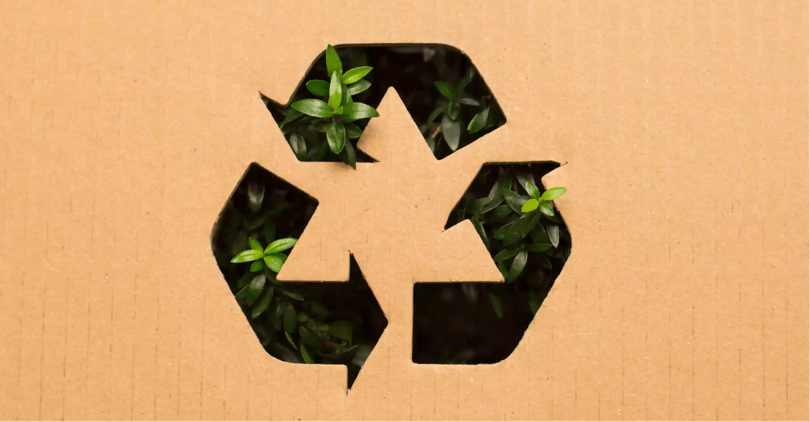 29-sustainable-sourcing-min.png