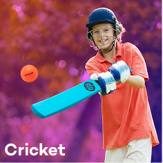 4 cricket.png