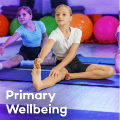 6 primary wellbeing.png