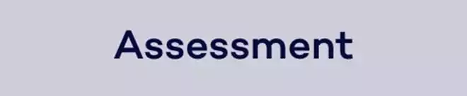 2-assessment-min.png