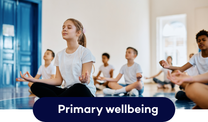 4 primary wellbeing.png