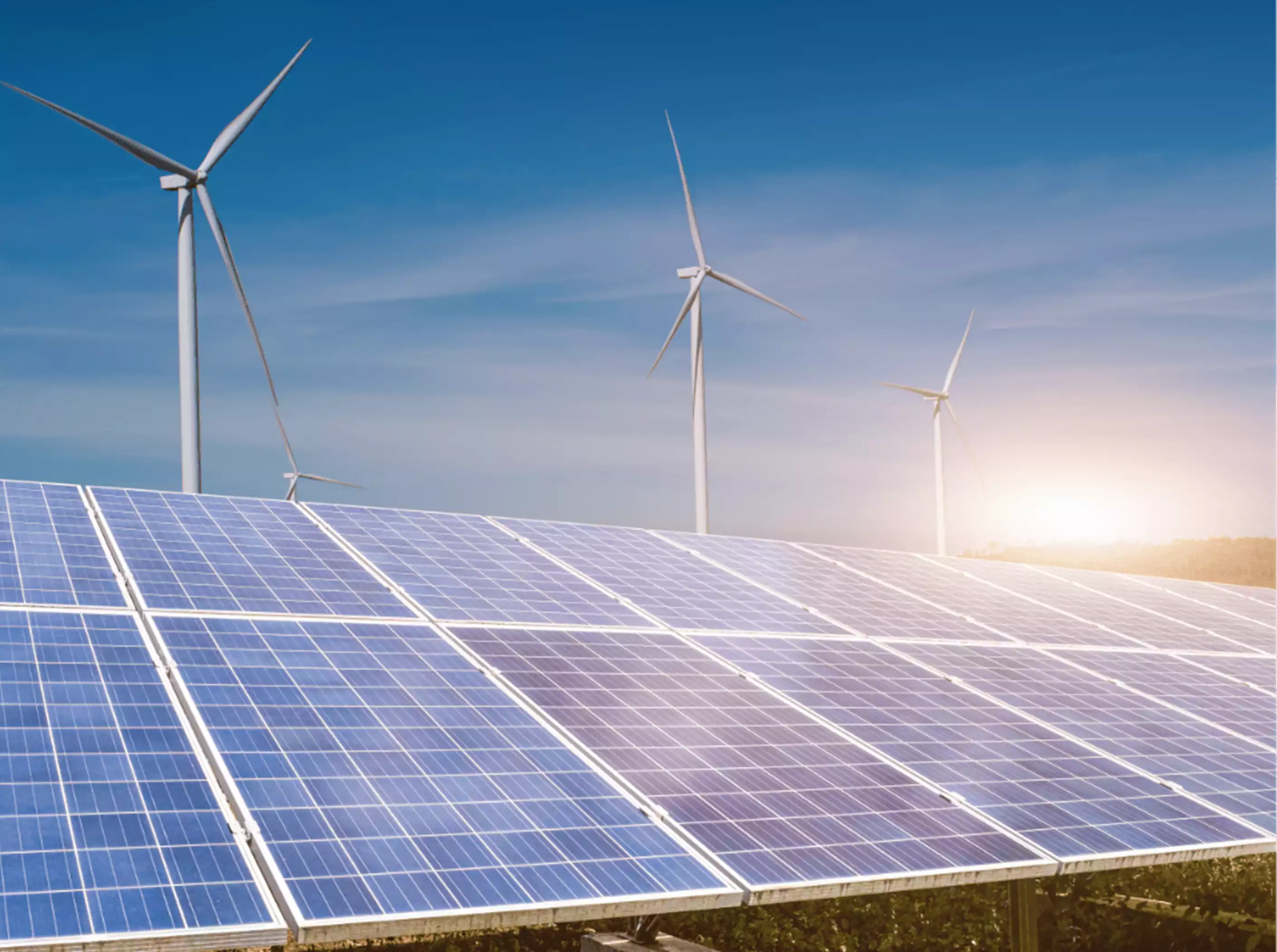 26-reducing-carbon-footprint-min.png
