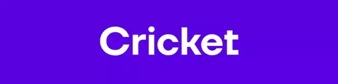 8-cricket-min.png