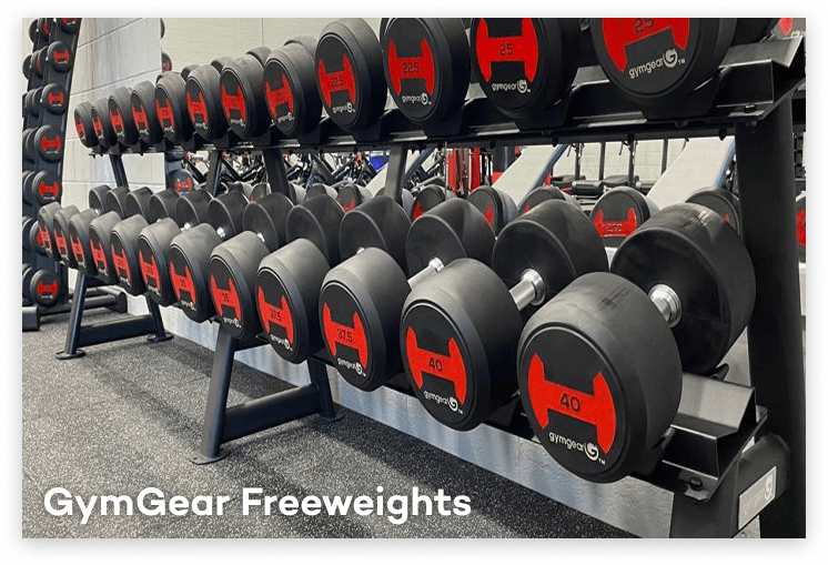 GymGear Freeweights-min.png