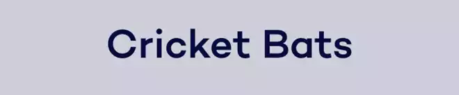 2-cricket-bats.png